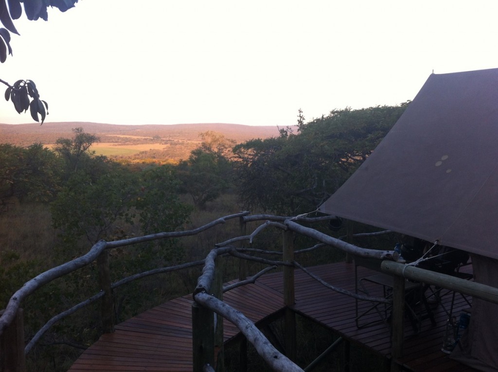 Unser Zelt mit Blick auf den afrikanischen Bush
