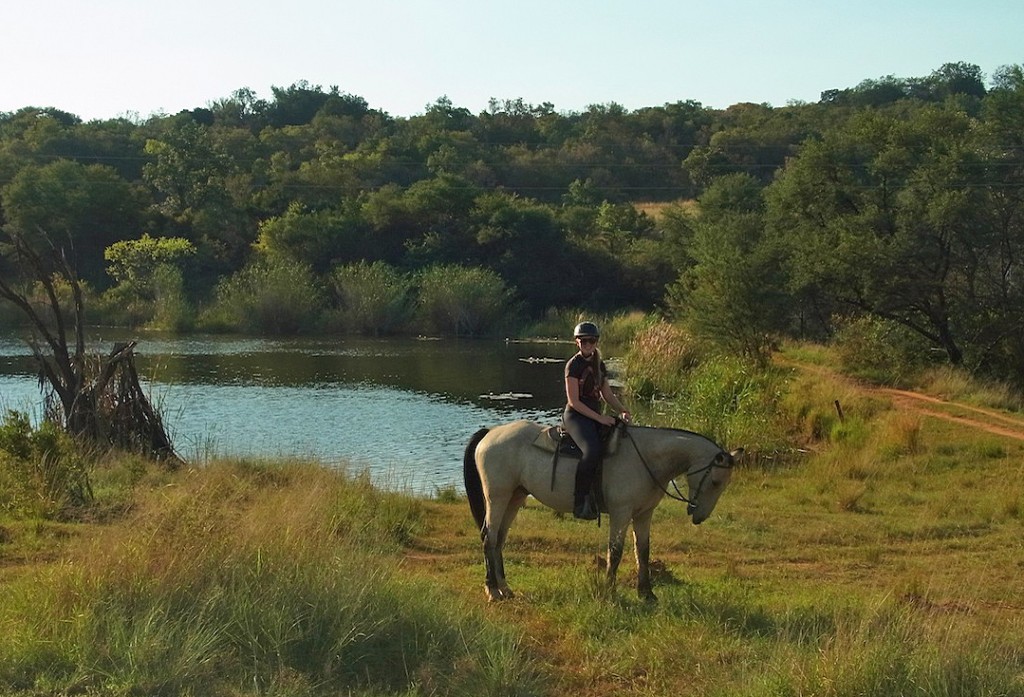 Horseback Safari Südafrika