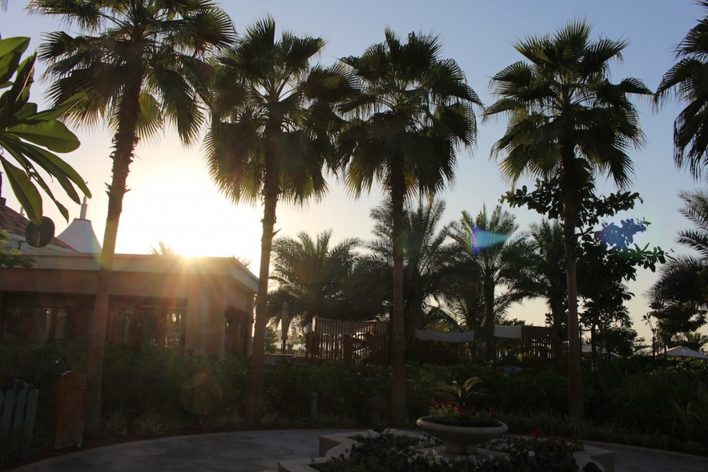 Sonnenuntergang - www.miss-phiaselle.com - Palmen - Garten Ritz Carlton - Dubai