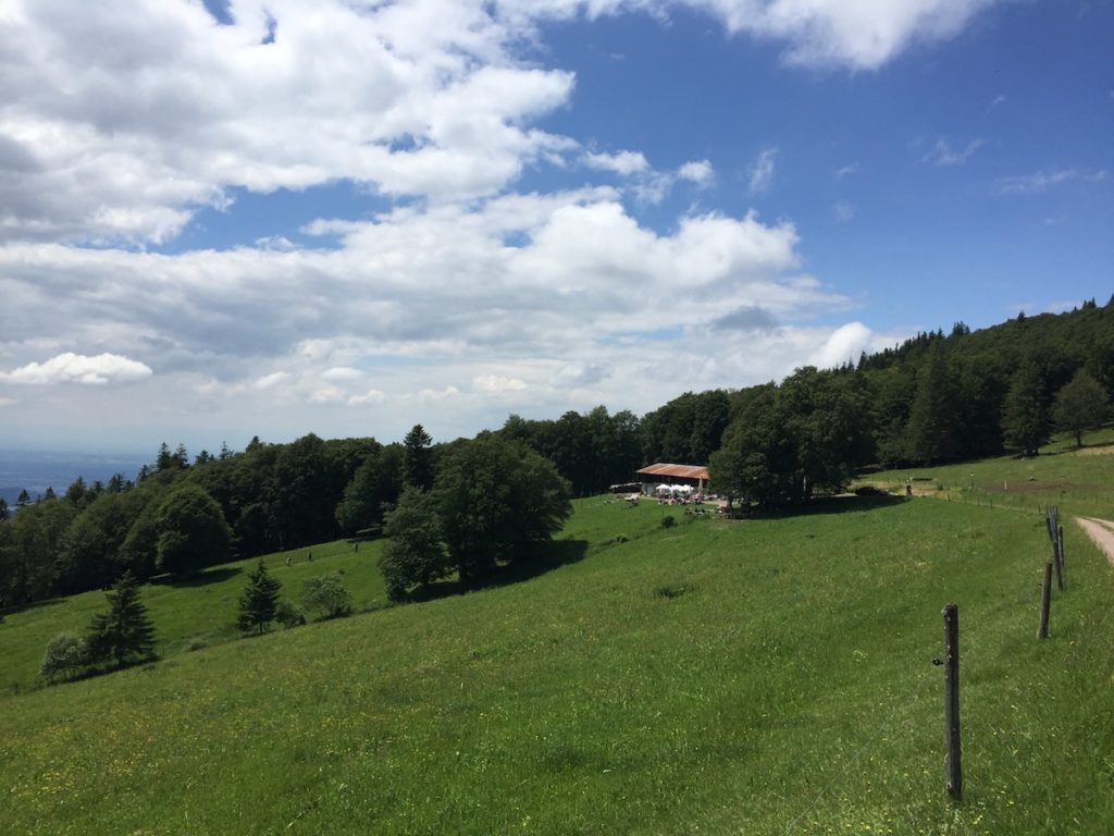 Vesper Fensterliwirt - Kandal - Schwarzwald - Gummenhütte Schwarzwald - Wandern im Schwarzwald - Brotzeit Fensterliwirt