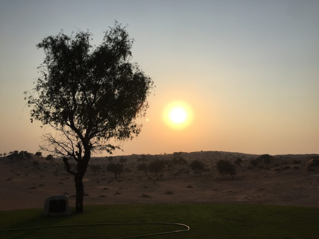 Desert-UAE-Ras Al Khaimah-Reiseblogger-Wüstencamp-Sonnenuntergang Wüste