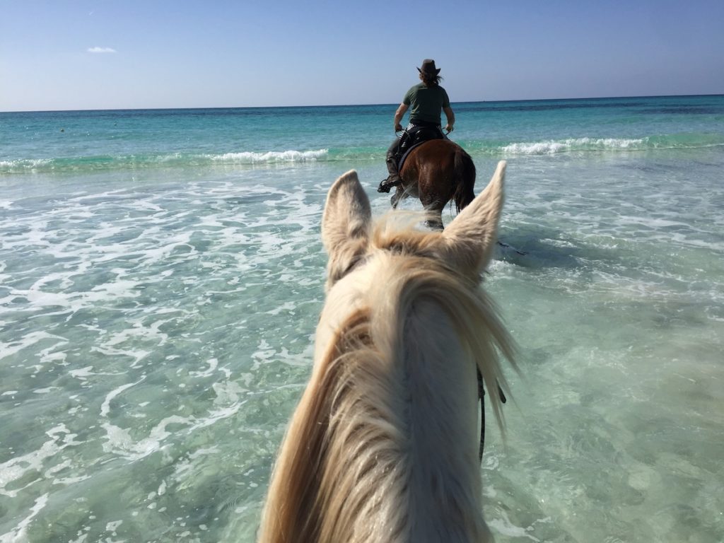 Bye Bye Februar 2017 - Februar 2017 - Monatsrückblick - Reiseblogger-Pferde im Meer Mallorca