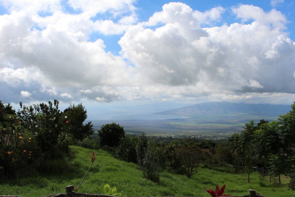 Maui upcountry
