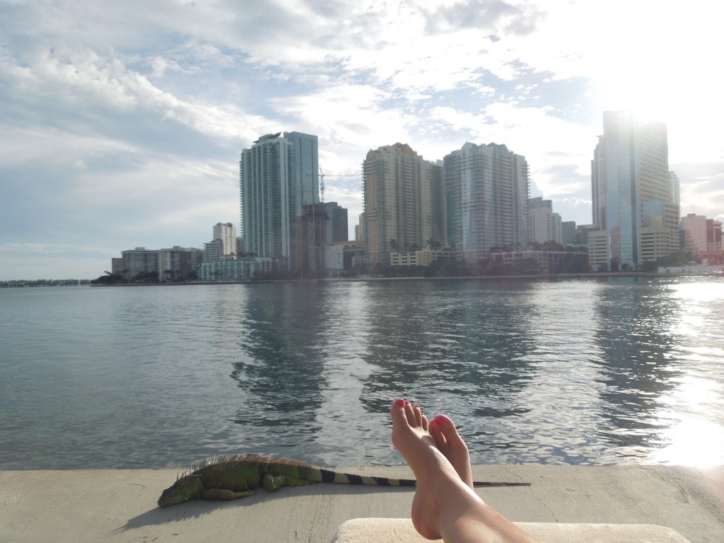 Blick auf Downtown Miami