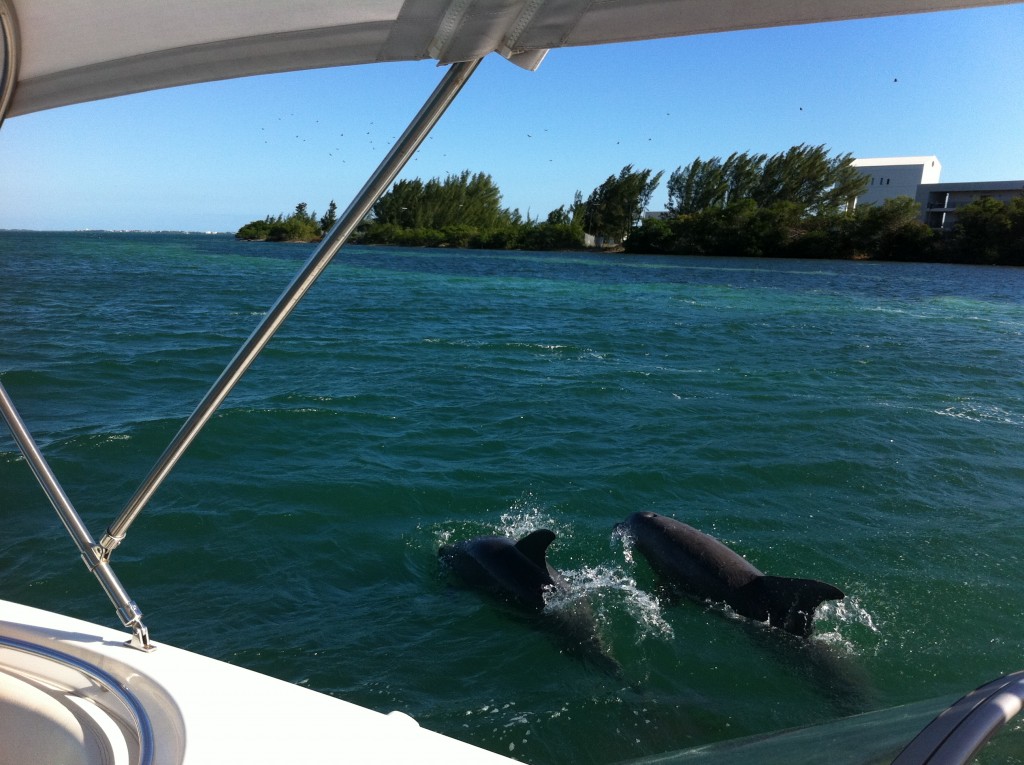 Delfine Key West