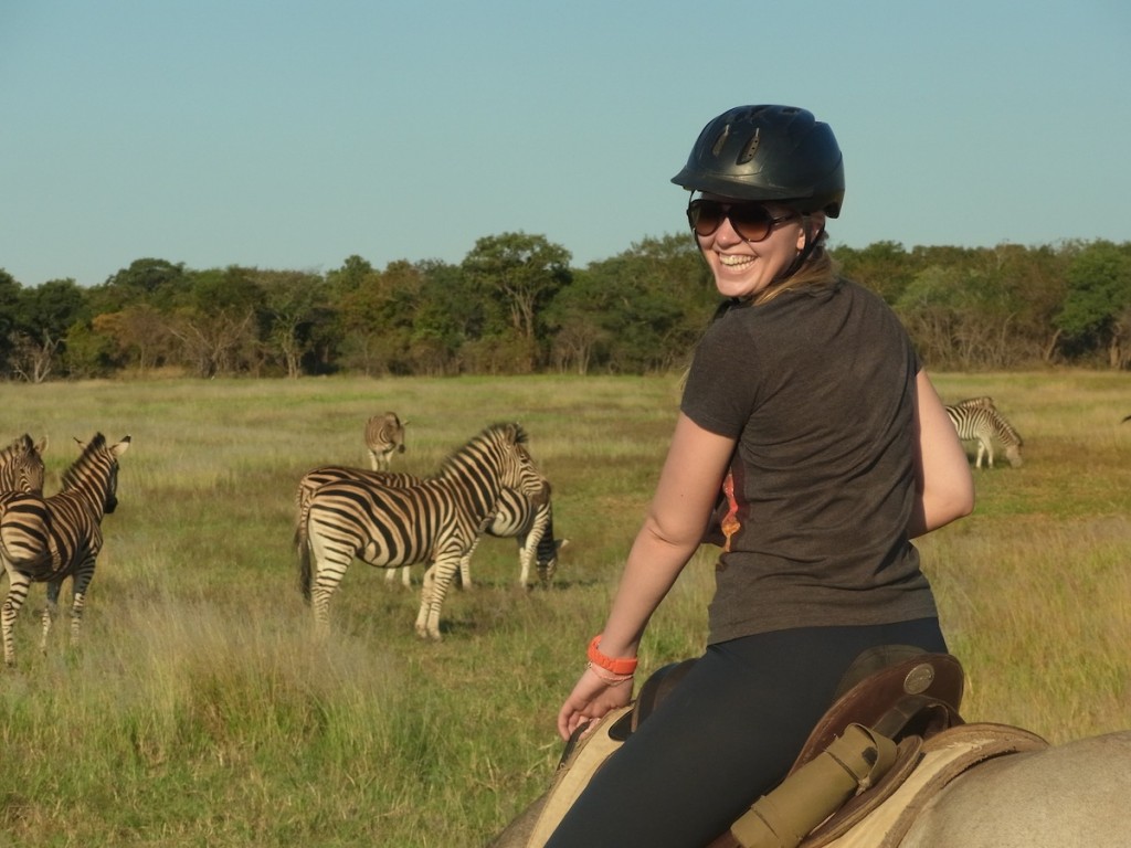 Horseback Safari - Safari -Südafrika - Johannesburg - Zebras - Reiten - Horizon Horseback