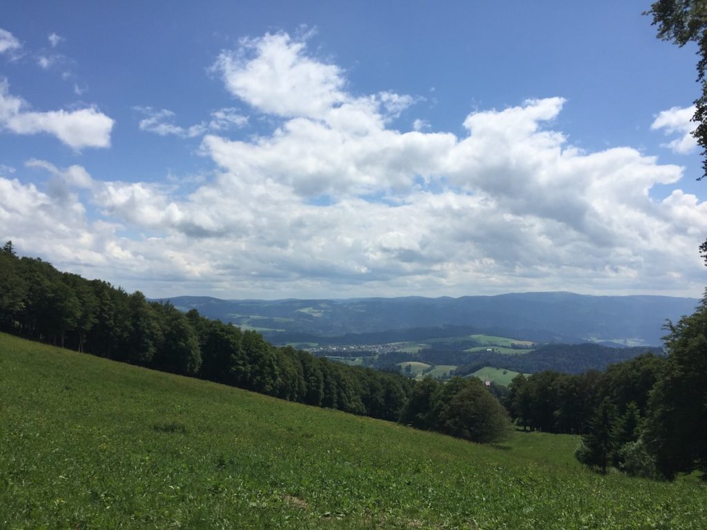 Vesper Fensterliwirt - Kandal - Schwarzwald - Gummenhütte Schwarzwald - Wandern im Schwarzwald - Brotzeit Fensterliwirt