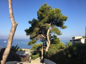 Mallorca im Herbst - Insidertipps Mallorca - Geheimtipps Mallorca - September auf Mallorca - Reiseblogger