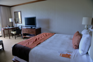 hyatt-regency-maui-resort-and-spa_room_partlyoceanview