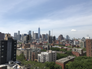 New York Tipps-Rooftopbars New York-Mr. Purple Manhattan