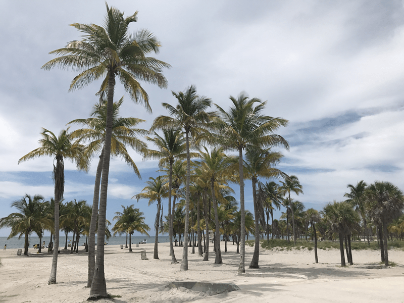 Miami-Insider-Tipps-Geheimtipps-Miami-Miami-Beach-Urlaub-Crandon-Park-Beach-Key-Biscayne