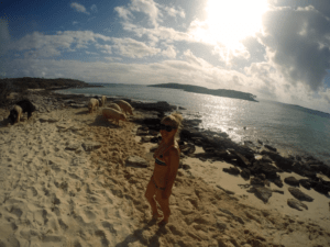 reisetipps-exuma-islands-pig-island-schweine-in-der-karibik