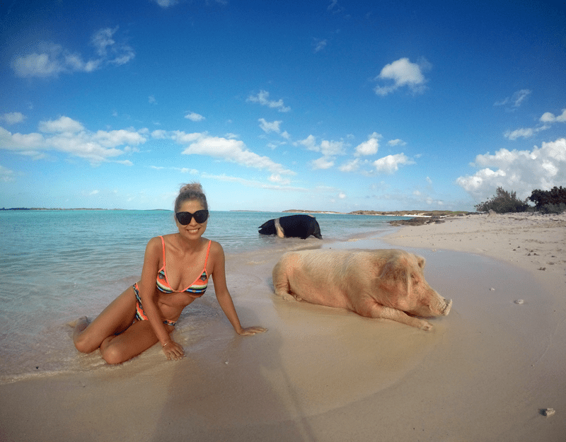 reisetipps-exumas-pig-island-schweine-insel