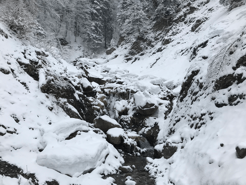 Winterwandern-im-Kleinwalsertal-Riezlern-wandern