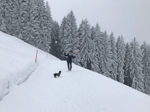 Winterwandern-im-Kleinwalsertal-Wandern-in-Oesterreich