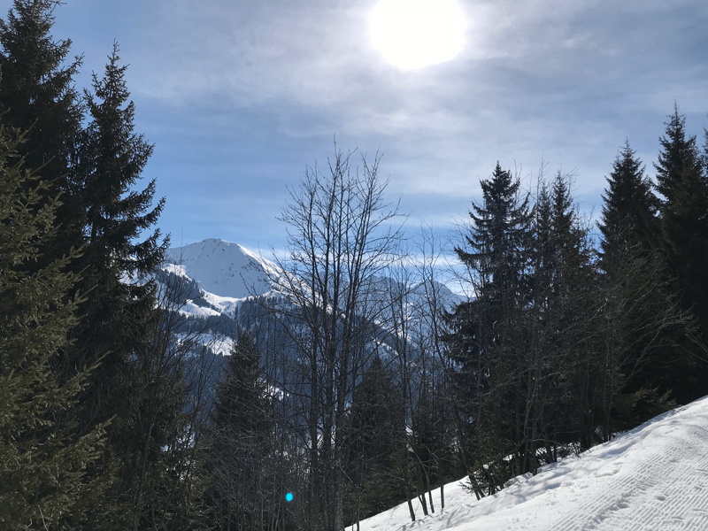 Winterwandern-im-Kleinwalsertal-Winterwanderweg-Mittelberg