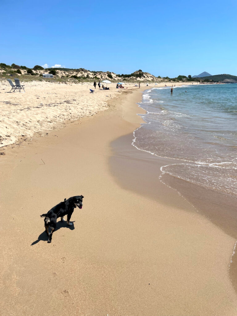 Griechenlandurlaub mit Hund
