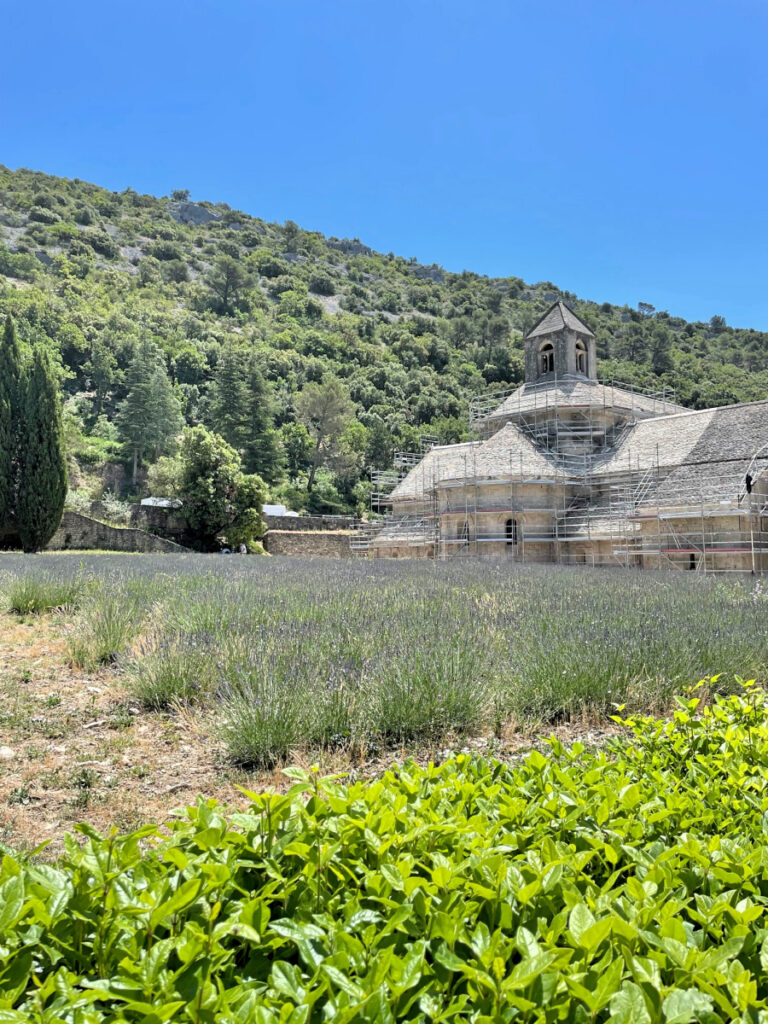provence roadtrip - lavendel felder provence - abbaye notre-dame de senanque